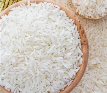 تصویر 5 از خرید و فروش برنج سر لاشه فجر با شرایط فوق العاده